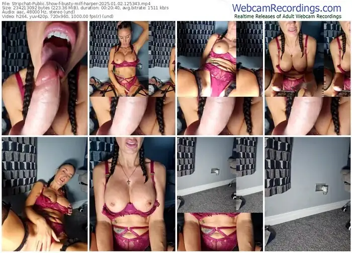 2025/01/02/stripchat-busty-milf-harper-12-53-43