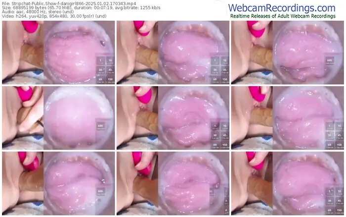 2025/01/02/stripchat-danigirl866-17-03-43