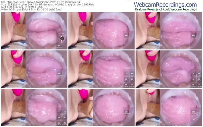 2025/01/02/stripchat-danigirl866-18-26-36