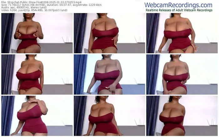 2025/01/02/stripchat-katt008-07-00-53