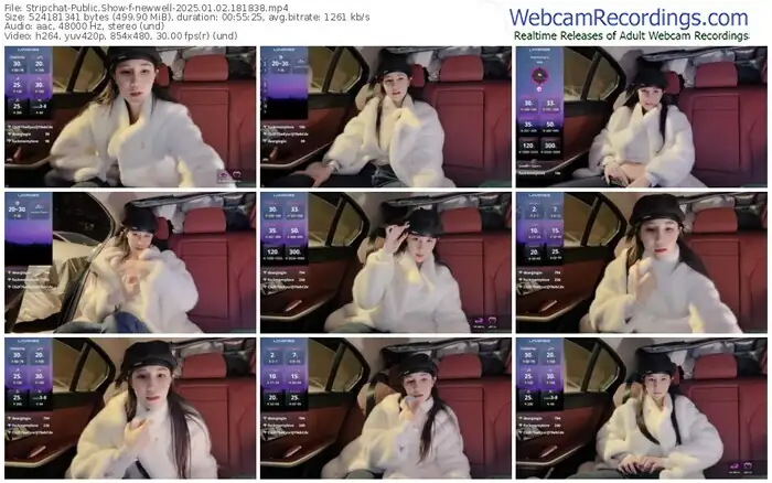 2025/01/02/stripchat-newwell-18-18-38