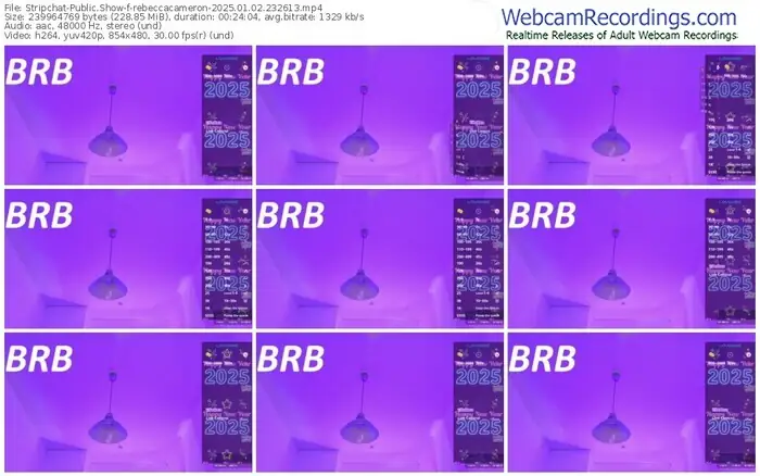 2025/01/02/stripchat-rebeccacameron-23-26-13