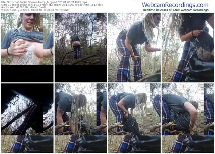 2025/01/03/stripchat-horny_hippie-21-48-45