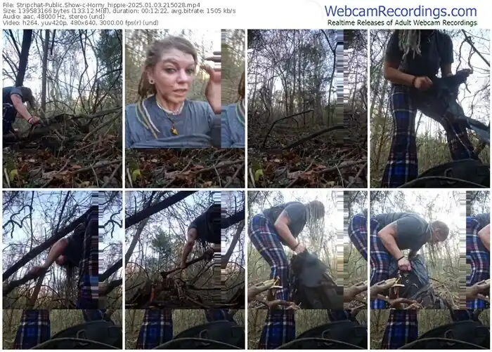 2025/01/03/stripchat-horny_hippie-21-50-28