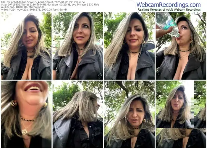 2025/01/03/stripchat-_abril-office1-22-17-57