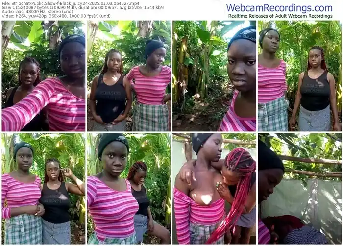 2025/01/03/stripchat-black_juicy24-06-45-27