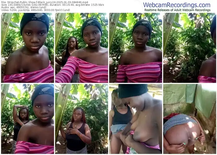 2025/01/03/stripchat-black_juicy24-08-48-46