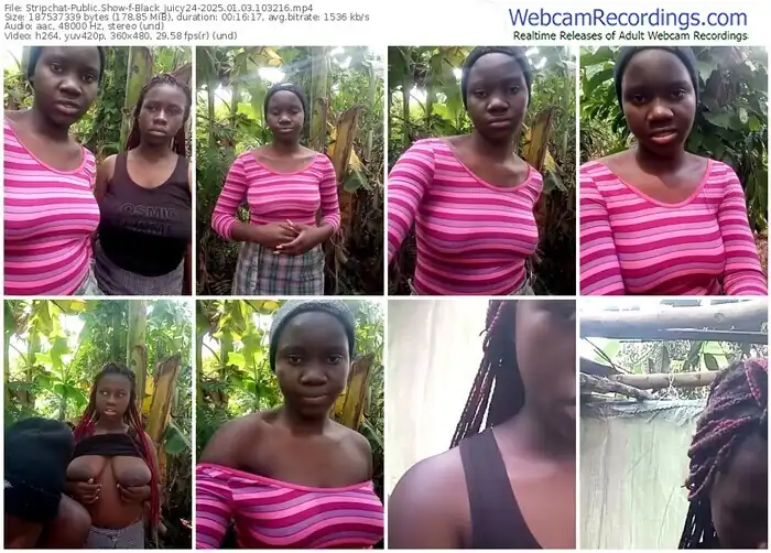 2025/01/03/stripchat-black_juicy24-10-32-16