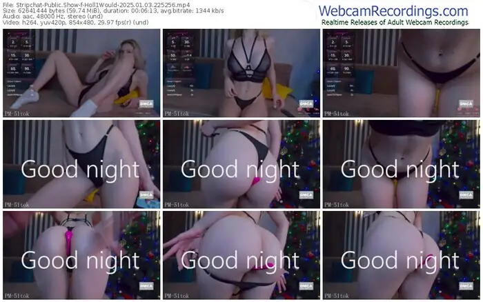 2025/01/03/stripchat-holl1would-22-52-56