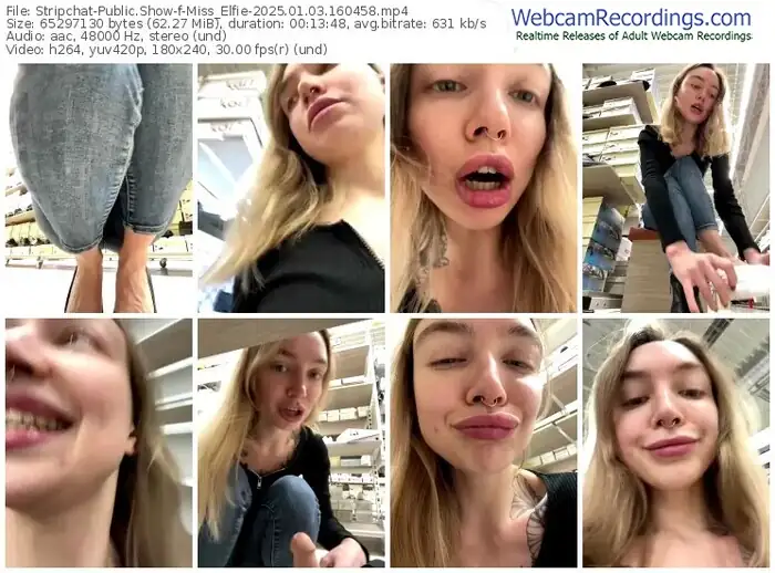 2025/01/03/stripchat-miss_elfie-16-04-58