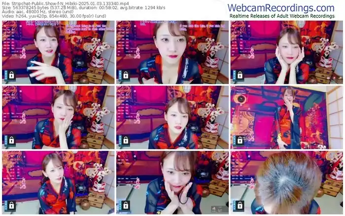 2025/01/03/stripchat-n_hibiki-13-33-40