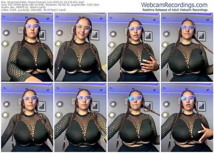 2025/01/03/stripchat-seized_lust-15-14-51