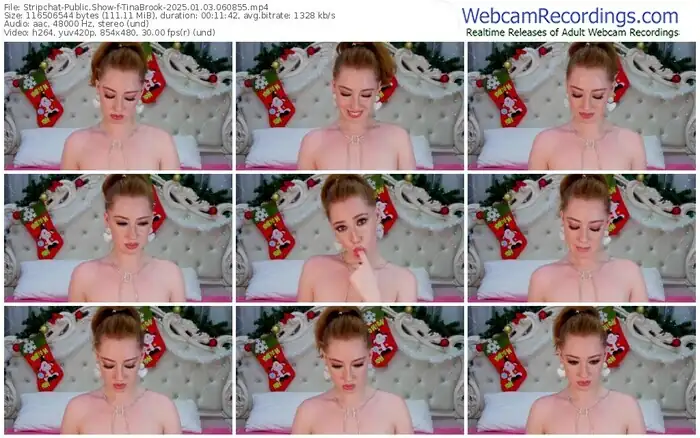 2025/01/03/stripchat-tinabrook-06-08-55