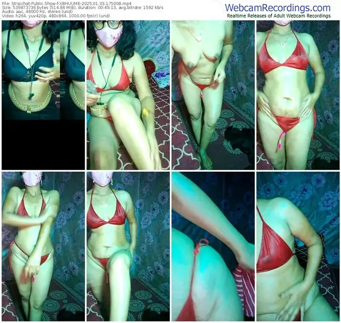 2025/01/03/stripchat-xbhuume-17-50-08