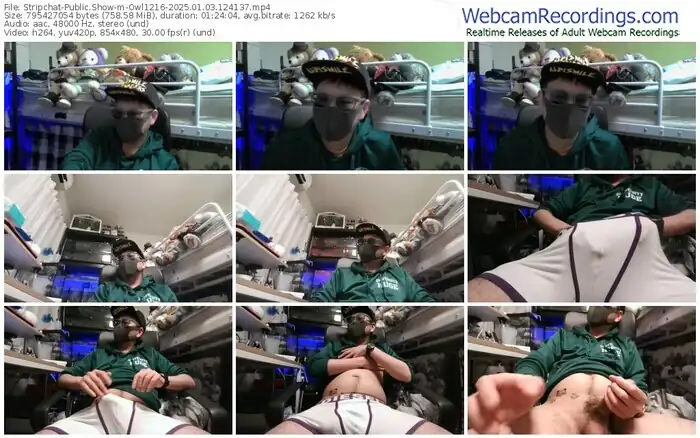 2025/01/03/stripchat-owl1216-12-41-37