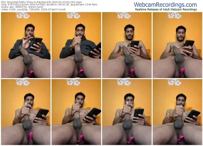 2025/01/03/stripchat-palyboy426-01-10-01