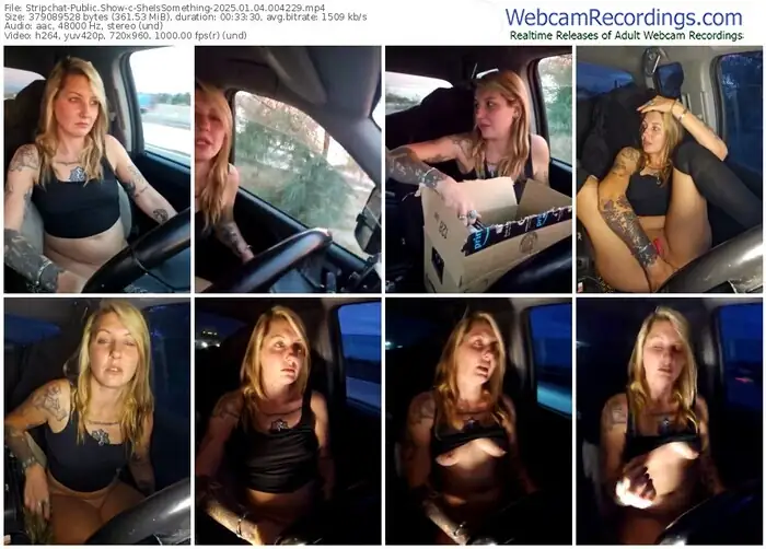 2025/01/04/stripchat-sheissomething-00-42-29