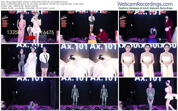 2025/01/04/stripchat-xmh100-03-59-19
