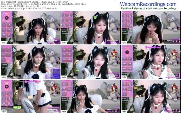 2025/01/04/stripchat-sheep-1-17-48-41