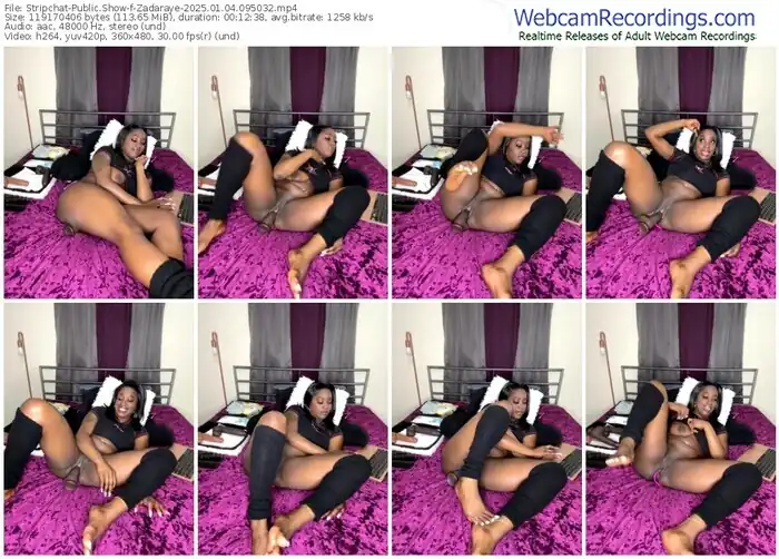 2025/01/04/stripchat-zadaraye-09-50-32