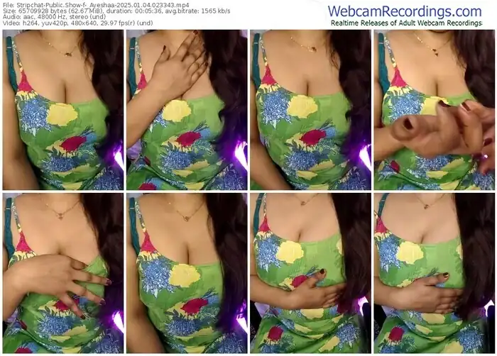 2025/01/04/stripchat-_ayeshaa-02-33-43