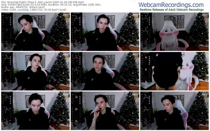 2025/01/04/stripchat-_rein_ramm-09-13-58