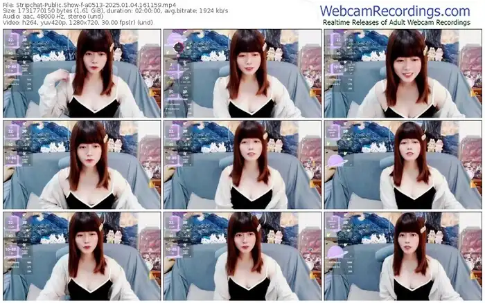 2025/01/04/stripchat-a0513-16-11-59