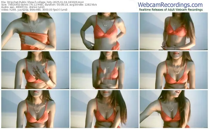 2025/01/04/stripchat-collage_hoty-18-30-26