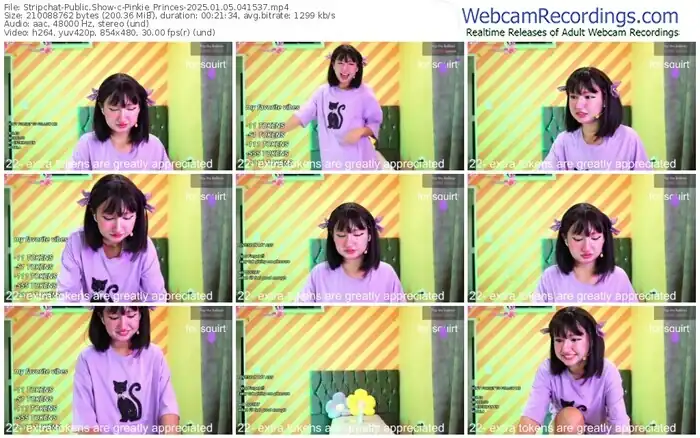 2025/01/05/stripchat-pinkie_princes-04-15-37
