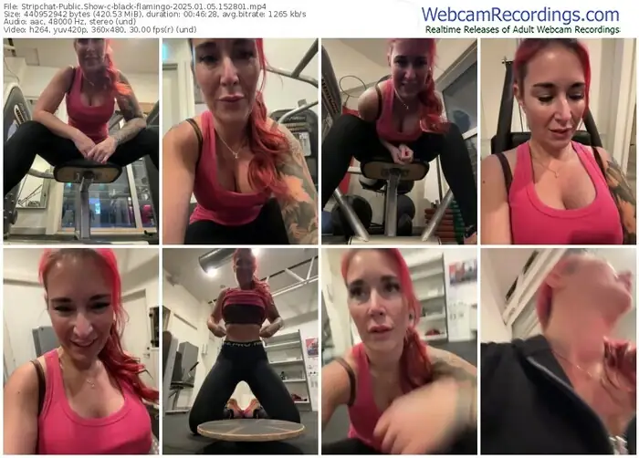 2025/01/05/stripchat-black-flamingo-15-28-01