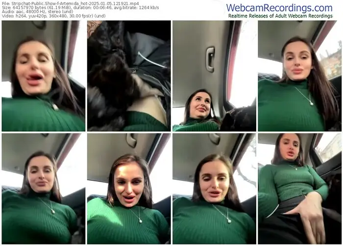 2025/01/05/stripchat-artemida_hot-12-19-21