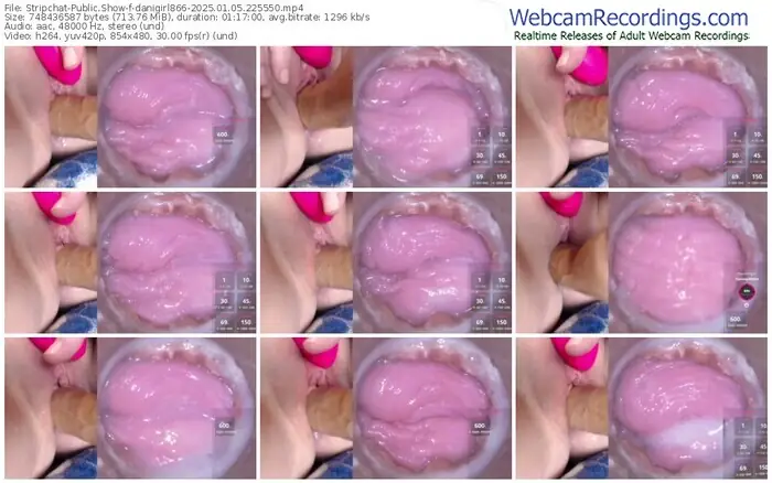 2025/01/05/stripchat-danigirl866-22-55-50