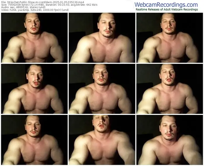 2025/01/05/stripchat-lionedwin-03-51-36