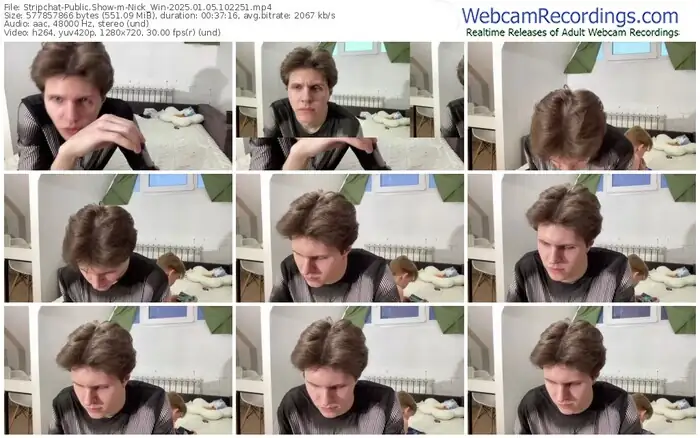 2025/01/05/stripchat-nick_win-10-22-51