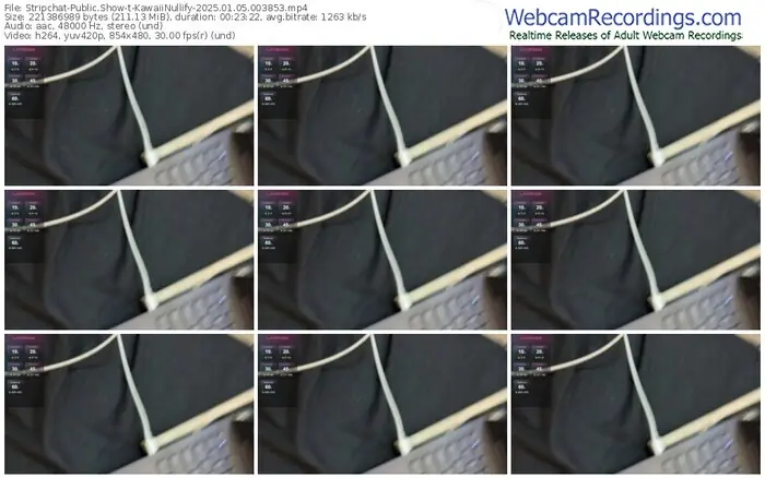 2025/01/05/stripchat-kawaiinullify-00-38-53