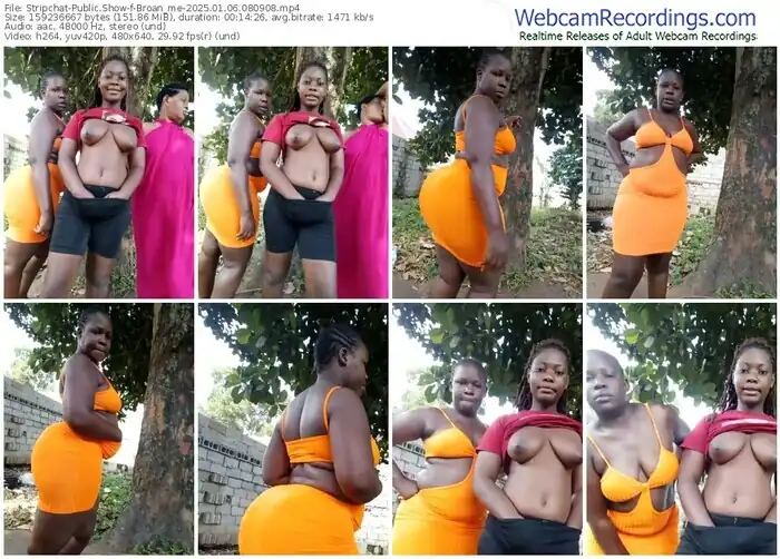2025/01/06/stripchat-broan_me-08-09-08