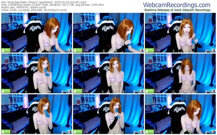 2025/01/06/stripchat-_sparkland_-22-14-31