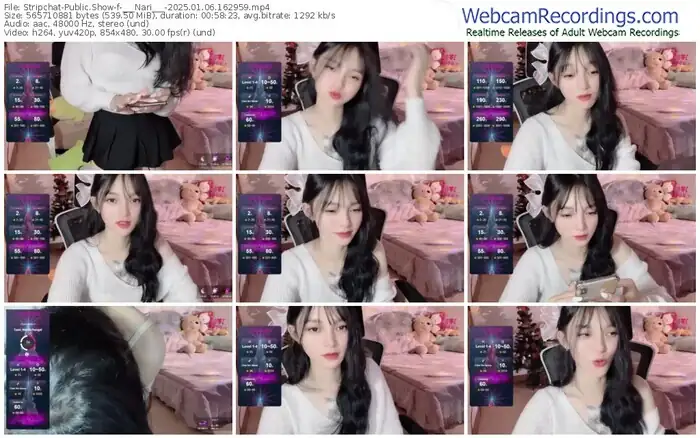 2025/01/06/stripchat-___nari___-16-29-59