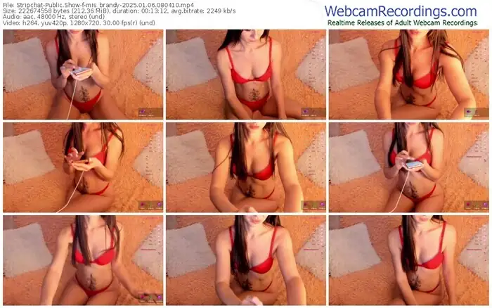 2025/01/06/stripchat-mis_brandy-08-04-10