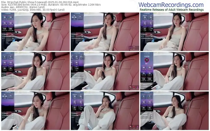 2025/01/06/stripchat-newwell-09-10-34