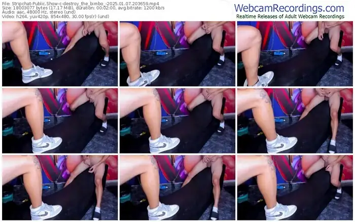 2025/01/07/stripchat-destroy_the_bimbo_-20-36-59