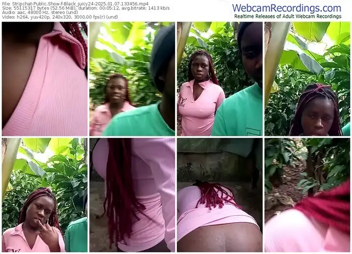2025/01/07/stripchat-black_juicy24-13-34-56