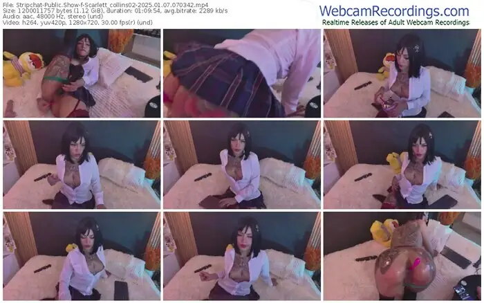 2025/01/07/stripchat-scarlett_collins02-07-03-42