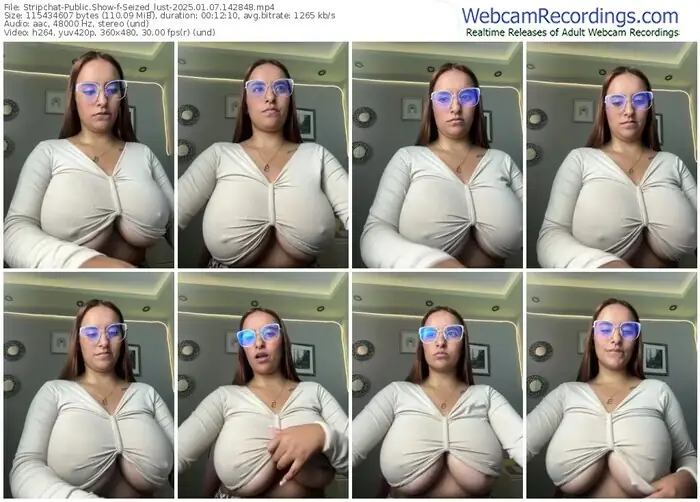 2025/01/07/stripchat-seized_lust-14-28-48