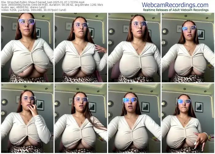 2025/01/07/stripchat-seized_lust-17-03-59