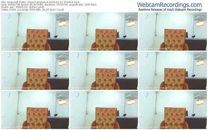 2025/01/07/stripchat-aitanarus-15-44-44