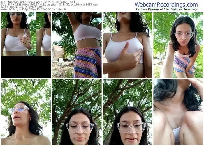 2025/01/08/stripchat-ary-18-14-16-31