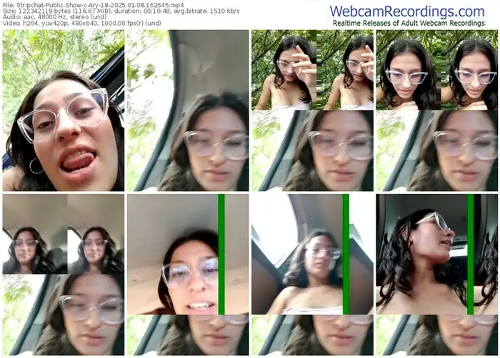 2025/01/08/stripchat-ary-18-16-26-45