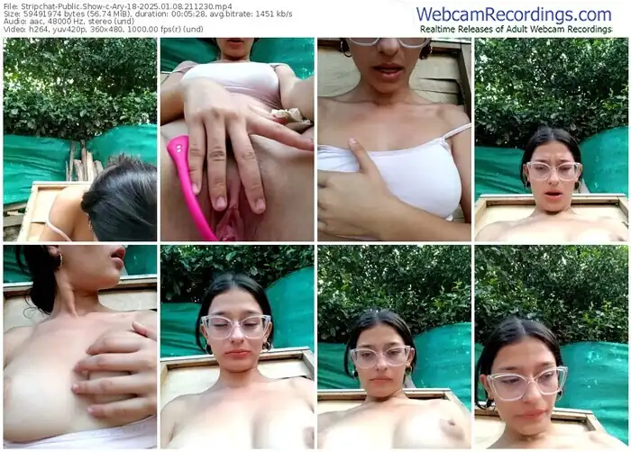 2025/01/08/stripchat-ary-18-21-12-30