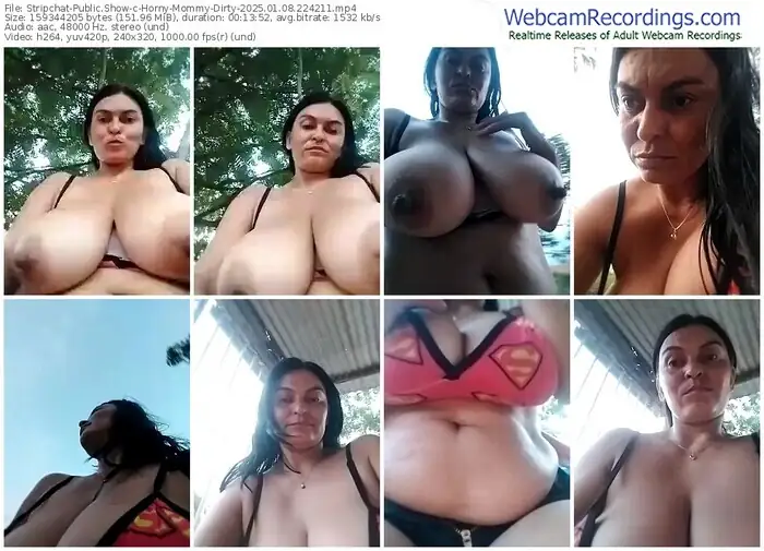 2025/01/08/stripchat-horny-mommy-dirty-22-42-11